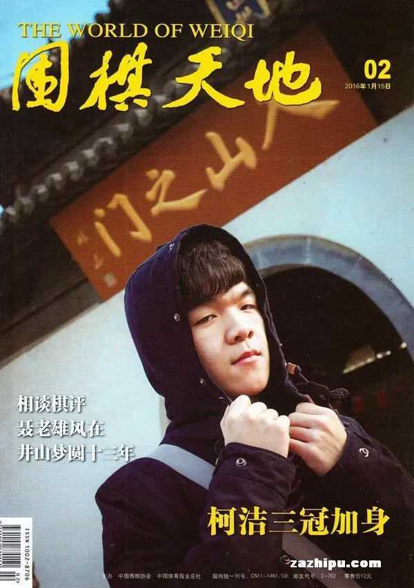 2016年的柯洁